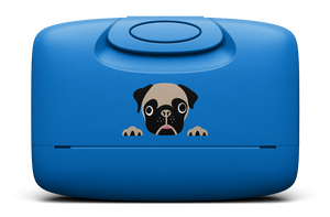 Pug | Electric Blue